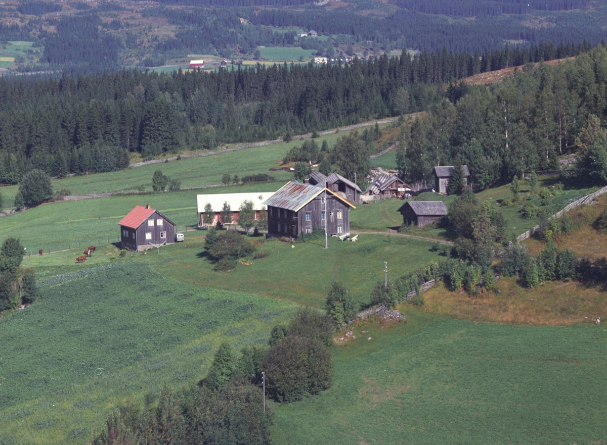 Widerøes Flyveselskap A/S, Flyfoto, Åsstuen, Åsmarka, Ringsaker.