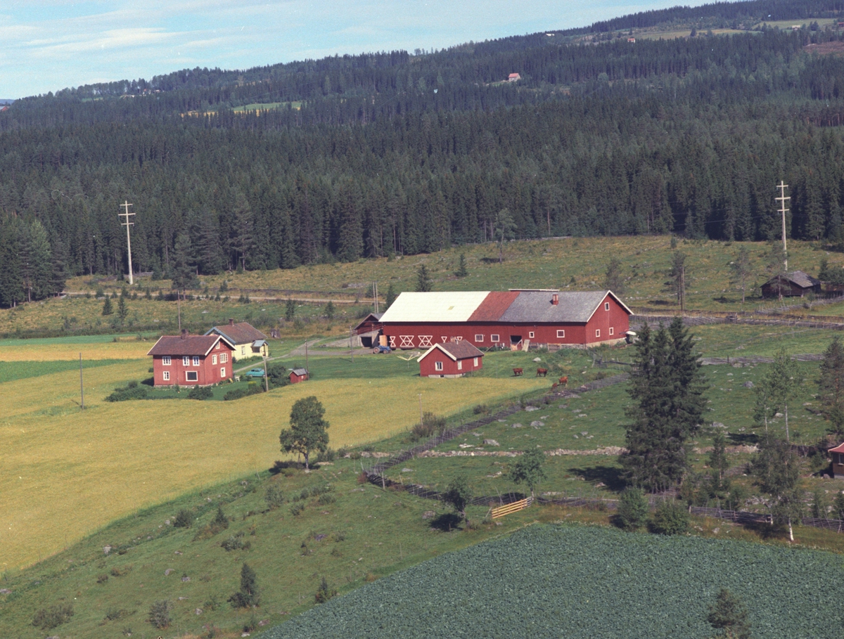 Widerøes Flyveselskap A/S, Flyfoto, Moseviken, Åsmarka, Ringsaker.