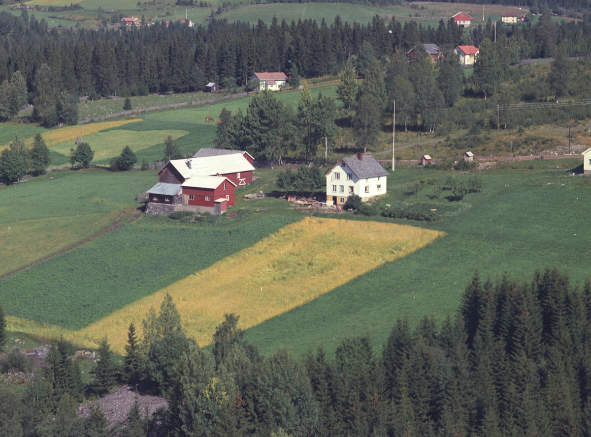 Widerøes Flyveselskap A/S, Flyfoto, Storsveen, Åsmark, Ringsaker.