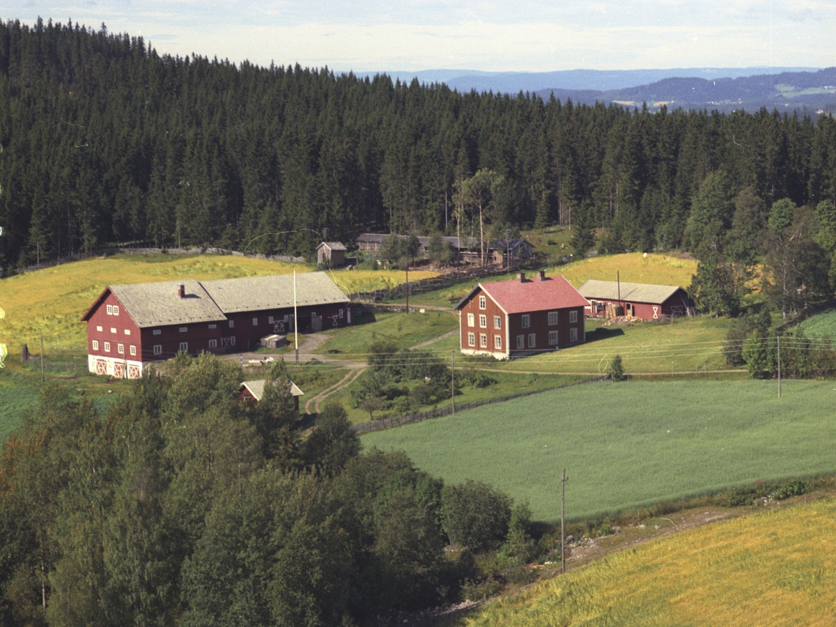Widerøes Flyveselskap A/S, Flyfoto, Lien gard, Åsmarka, Ringsaker.