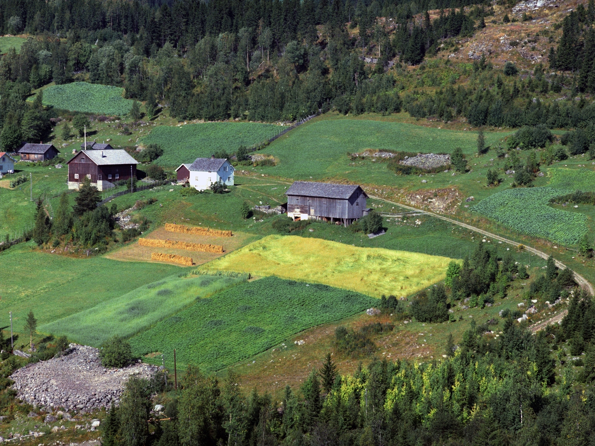 Widerøes Flyveselskap A/S, Flyfoto, Onsumenga, Åsmarka, Ringsaker.