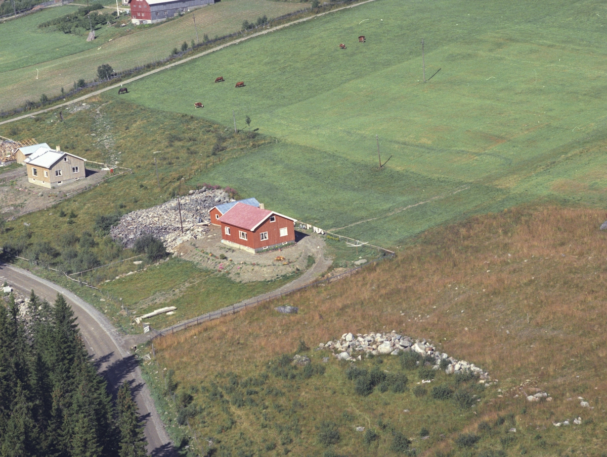 Widerøes Flyveselskap A/S, Flyfoto, Skogheim, Åsmarka, Ringsaker.