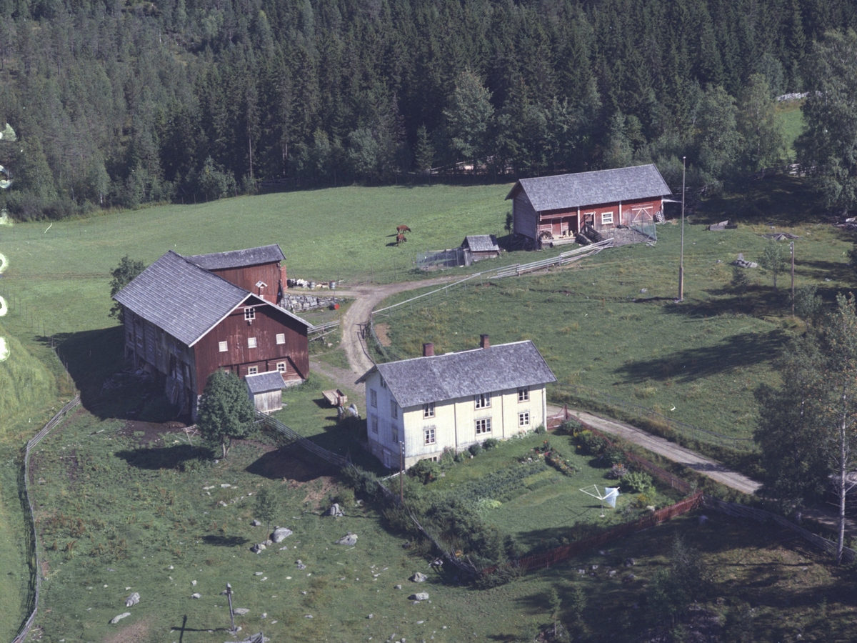 Widerøes Flyveselskap A/S, Flyfoto, Olasveen midtre, Åsmarka, Ringsaker.