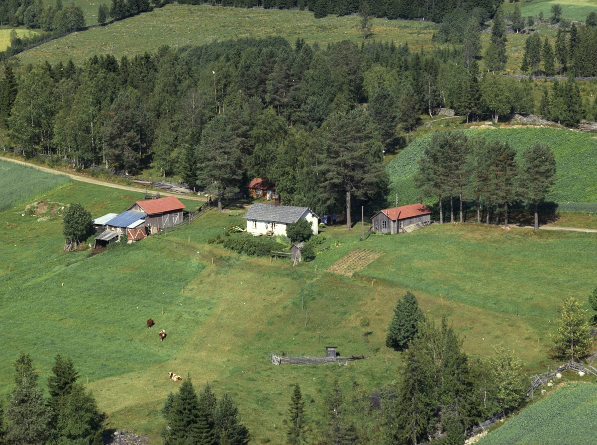 Widerøes Flyveselskap A/S, Flyfoto, ukjent sted, Lismarka, Ringsaker.