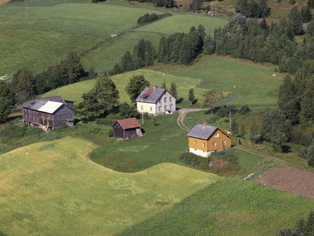 Widerøes Flyveselskap A/S, Flyfoto, Sørlisbakken, Lismarka, Ringsaker, gårdsnr. 489, bruksnr. 3.