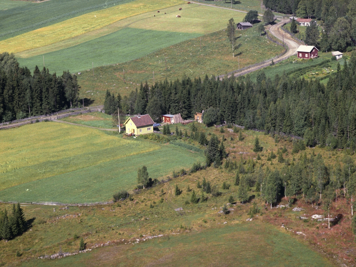 Widerøes Flyveselskap A/S, Flyfoto, bolig, Altona, Lismarka, Ringsaker.