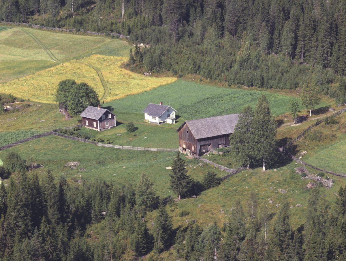 Widerøes Flyveselskap A/S, Flyfoto, ukjent gardsbruk, Lismarka, Ringsaker.