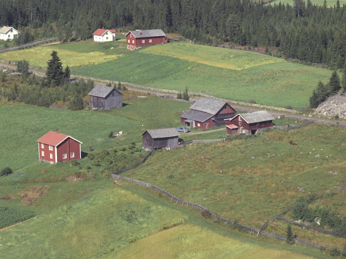 Widerøes Flyveselskap A/S, Flyfoto, Fellungstad (midt på bildet), Fellungstadhagen (øverst) og Hagali (bolighus t.v.) Lismarka, Ringsaker.