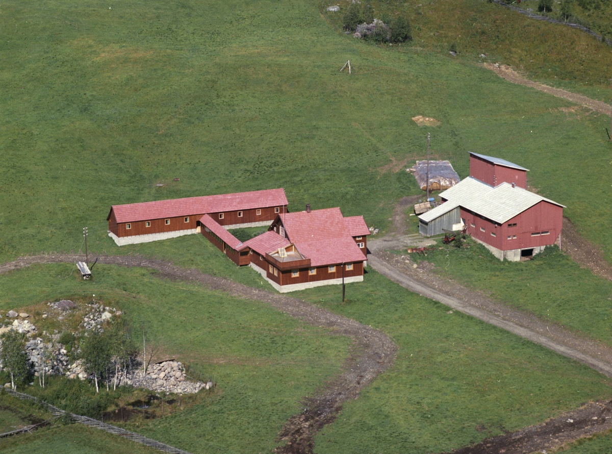 Widerøes Flyveselskap A/S, Flyfoto, Sæter, i Oddsæterroa, Lismarka, Ringsaker.