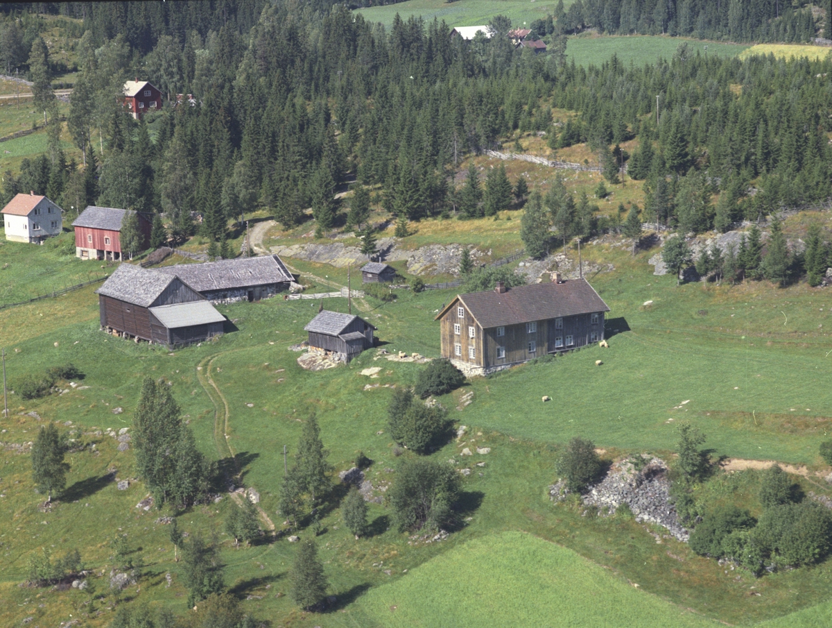 Widerøes Flyveselskap A/S, Flyfoto, Svartåsen 448.1, Lismarka, Ringsaker.