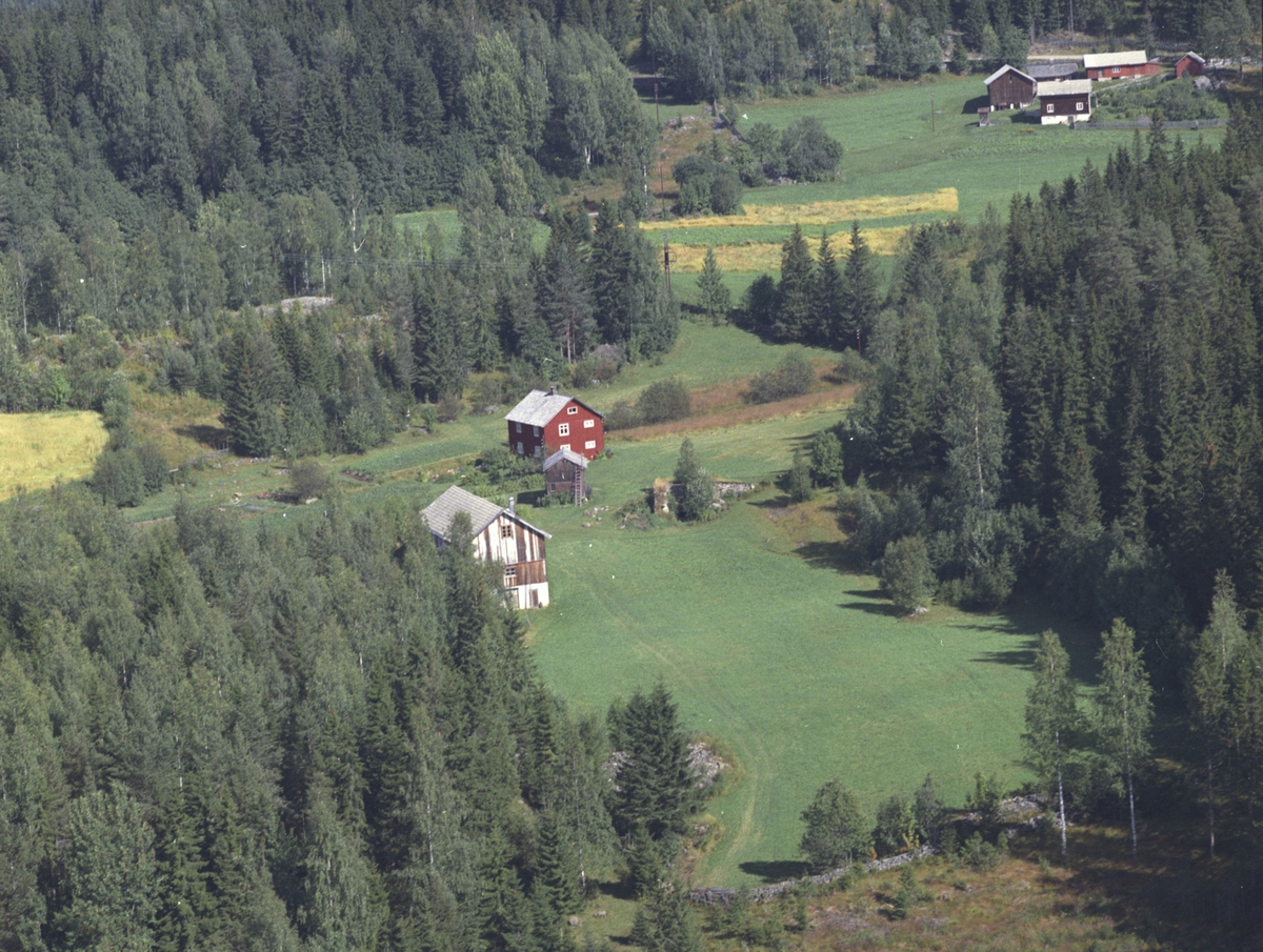 Widerøes Flyveselskap A/S, Flyfoto, Vangmyra 445.3 og Fauskerudvangen 443.3 oppe til høyre. Ringsaker, Lismarka.