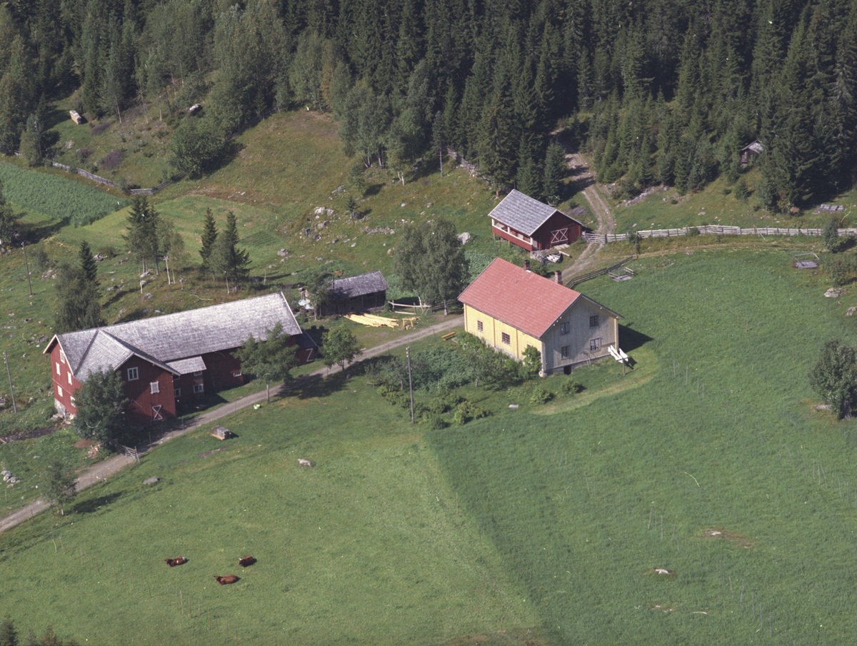 Widerøes Flyveselskap A/S, Flyfoto, Brukvangen 458.3, Lismarka, Ringsaker.