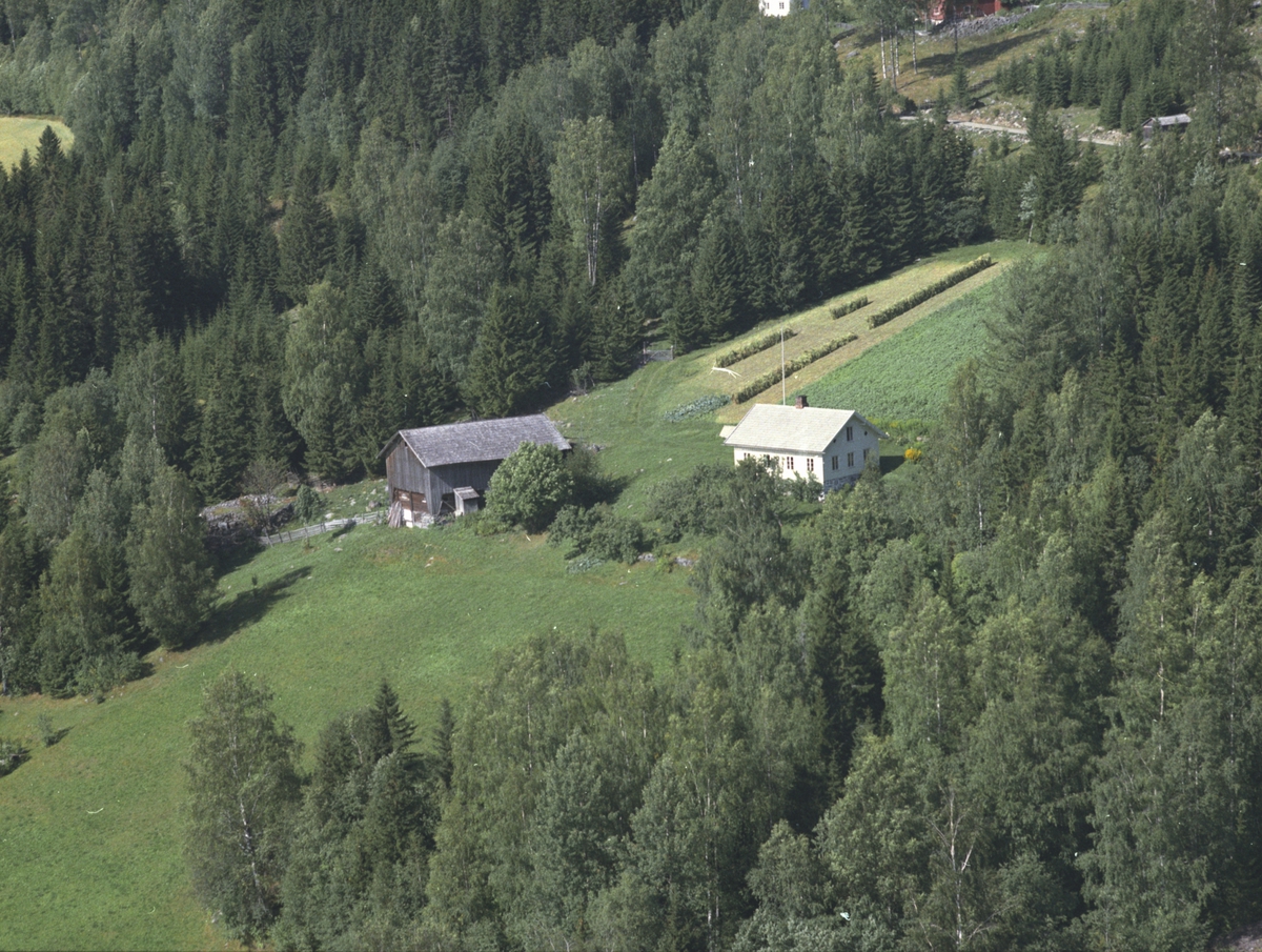 Widerøes Flyveselskap A/S, Flyfoto, Bakkeli 459.5. Lismarka, Ringsaker.