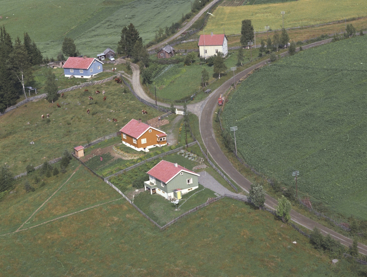 Widerøes Flyveselskap A/S, Flyfoto, ukjent bebyggelse, Lismarka, Ringsaker.