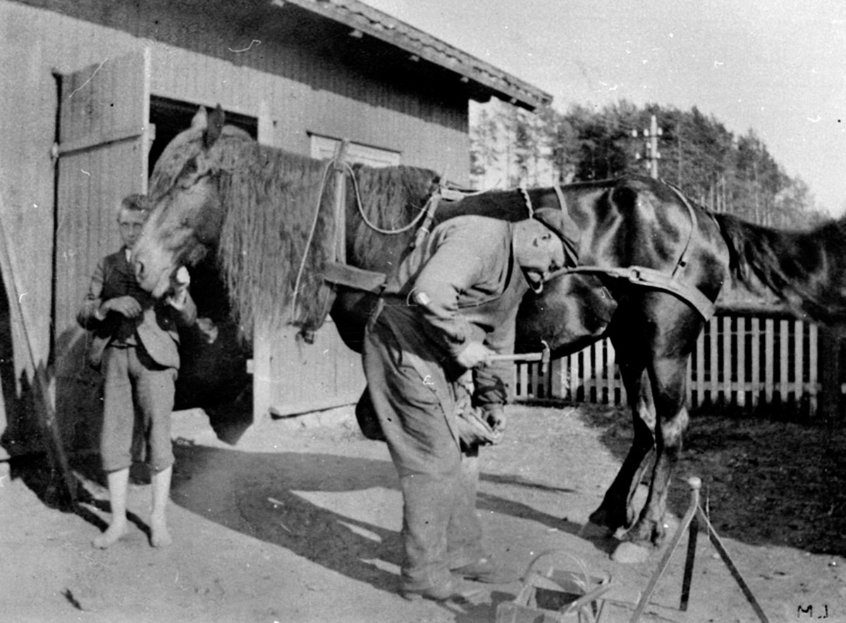 Anno Domkirkeodden, Smed Ole Larsen skor hest. Martinius Larsen holder hesten. Kongsvegen 12, Brumunddal.