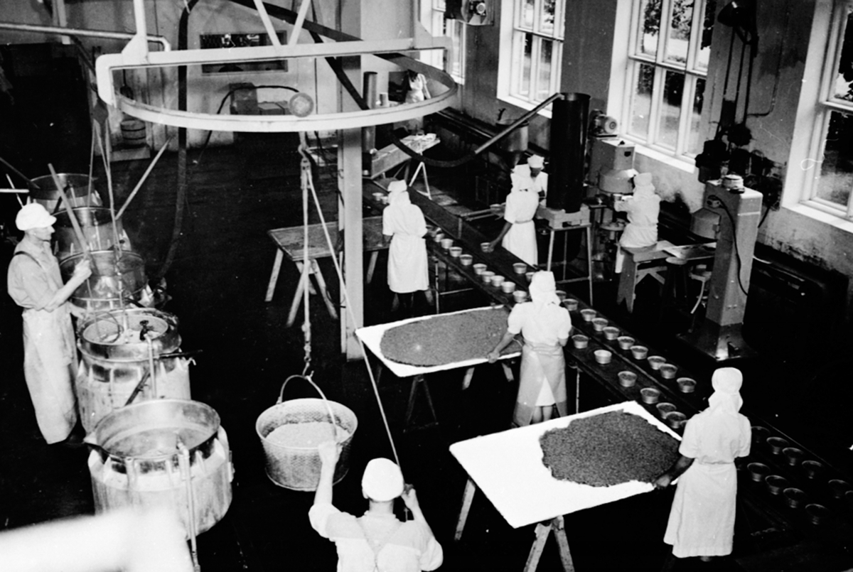 Anno Domkirkeodden, Interiør, hermetikkavdelingen på A/S Oplandske Konservesfabrikk, Stabburet, Nora. Brumunddal. Sortering av erter og manuell fylling av bokser.