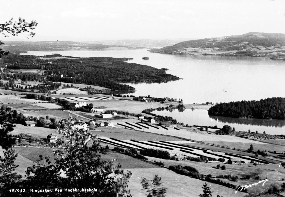 Anno Domkirkeodden, Utsikt fra Ring, Vea Hagebruksskole, Mjøsa.