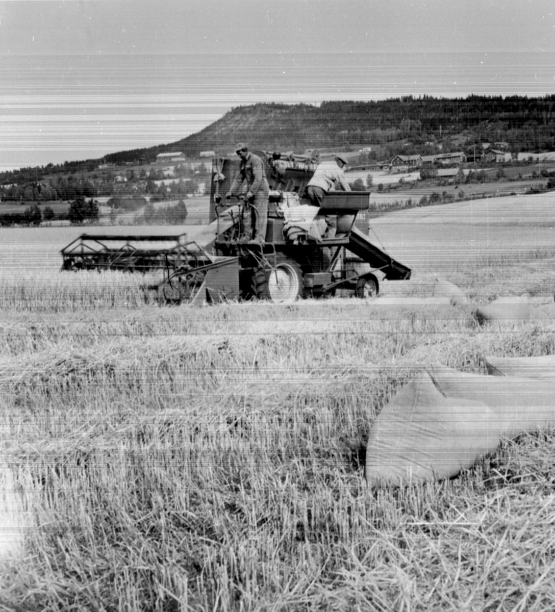 Anno Domkirkeodden, Skuronn. To menn på en Massey Harris skurtresker. Veldre, Ringsaker.