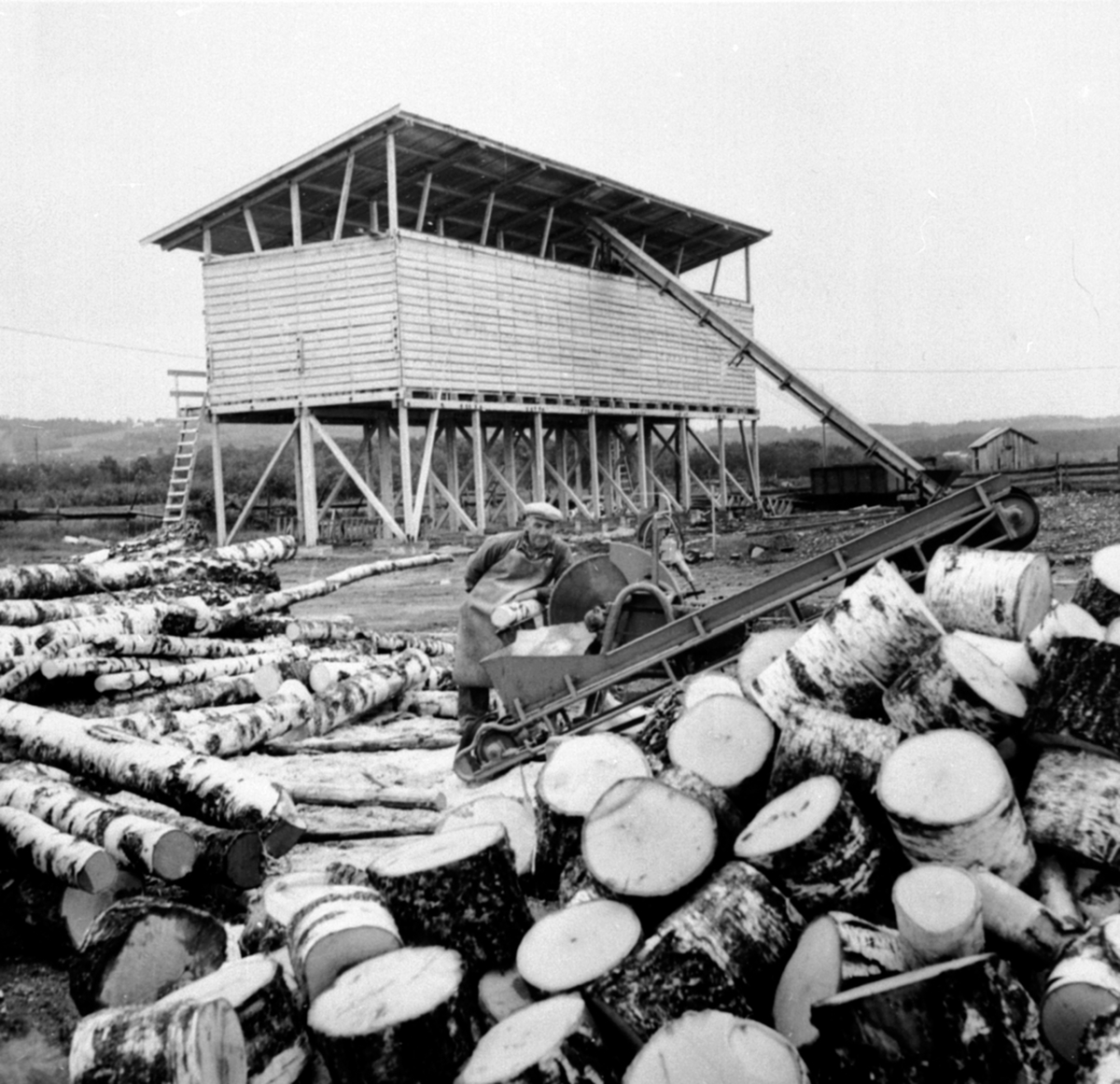 Anno Domkirkeodden, Strandsaga, mann ved kappsag sager bjørkved, Berger Langmoen A/S, Brumunddal.