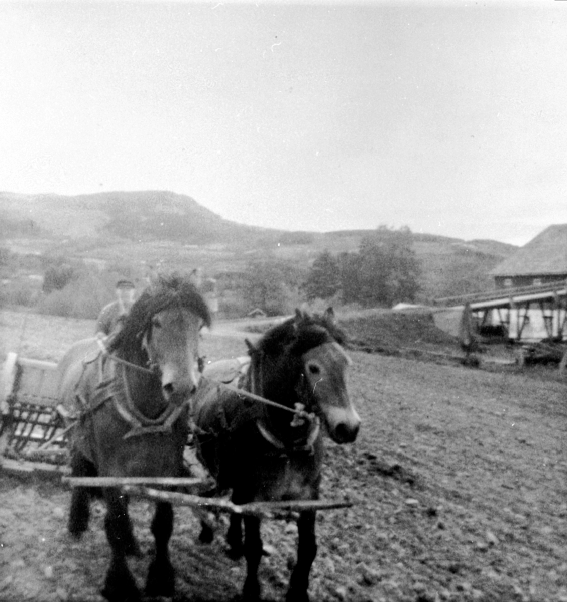 Anno Domkirkeodden, Våronn på Jemtland østre, Brumunddal. Jacob Jemtland sår med to hester.