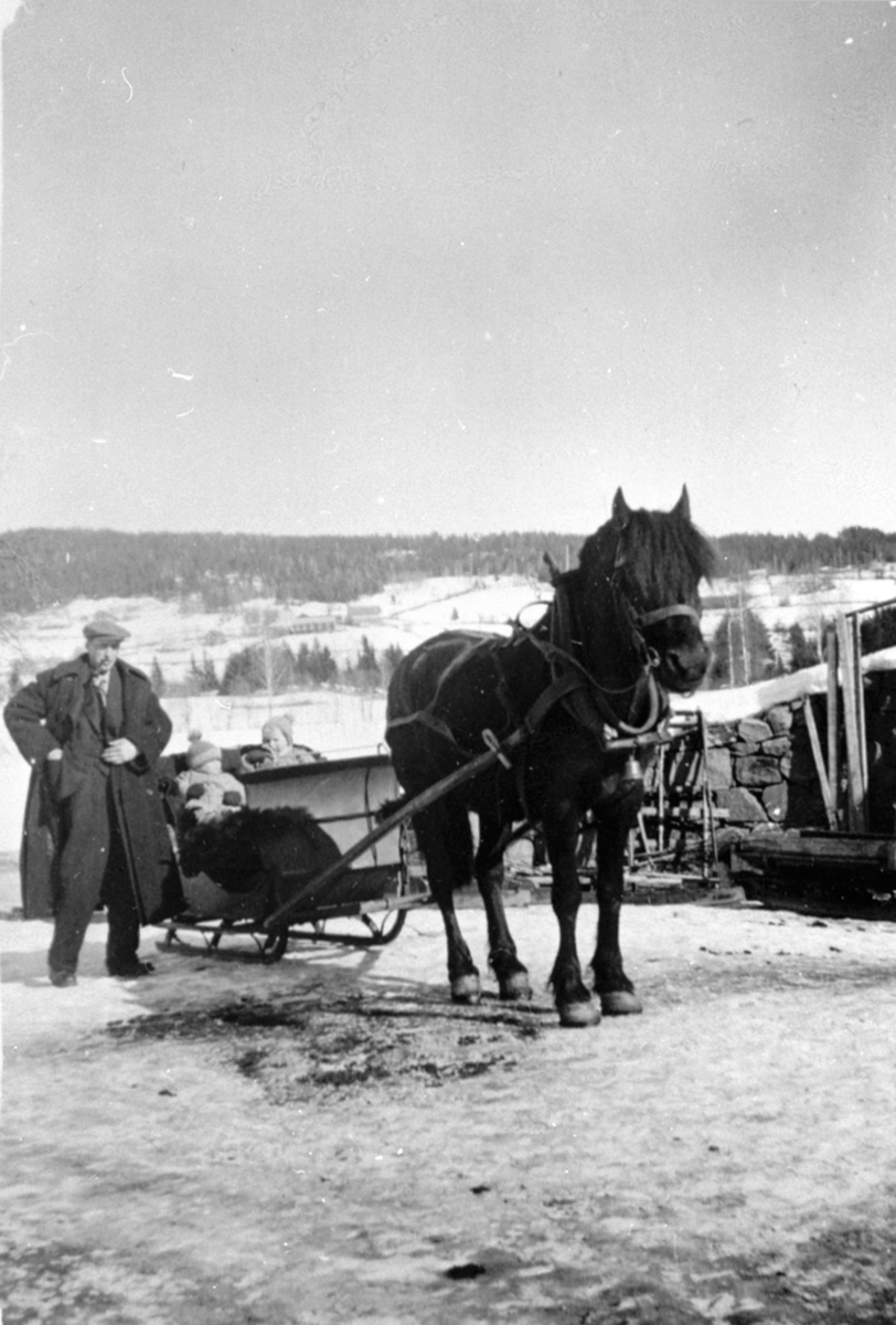 Anno Domkirkeodden, Hans Stordahl med hest og slede på Aannerud nedre, Veldre, Ringsaker. To barn i sleden.