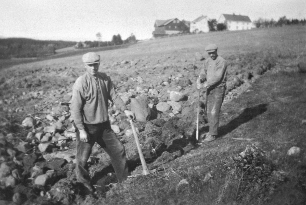 Anno Domkirkeodden, Nybrott, Einar Storlien og Mathias Geithus rydder ny jord på Storlien gård, Veldre, Ringsaker.
