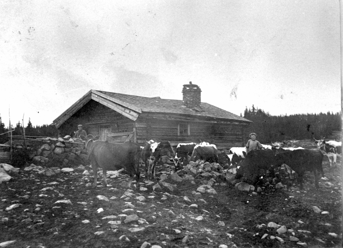 Anno Domkirkeodden, Gammelskolla seter under Bårdset nedre, Ringsakerfjellet. Oline Svestuen til høyre.