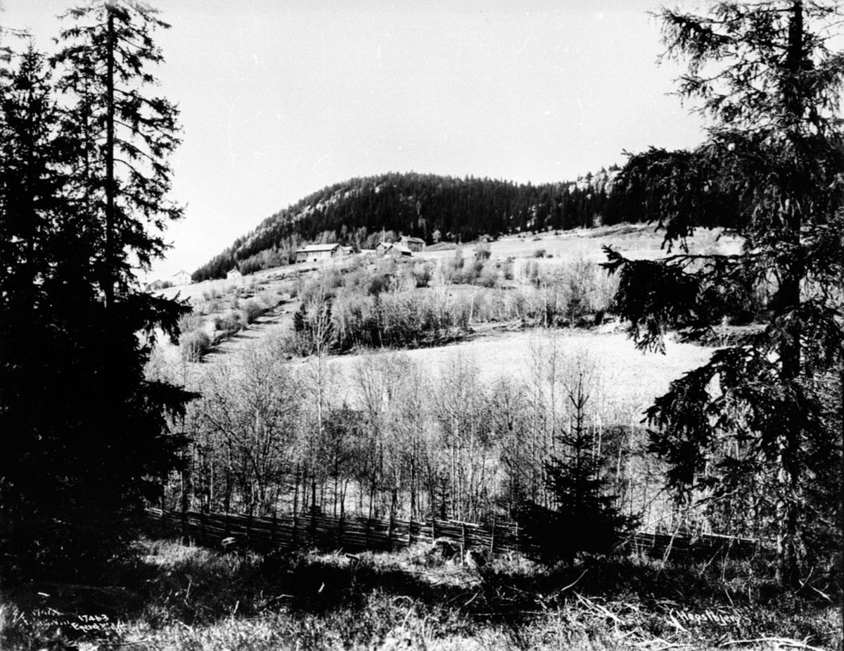 Anno Domkirkeodden, Oversikt, Høsbjør vestre, Høsbjør østre, Furnes, Ringsaker.