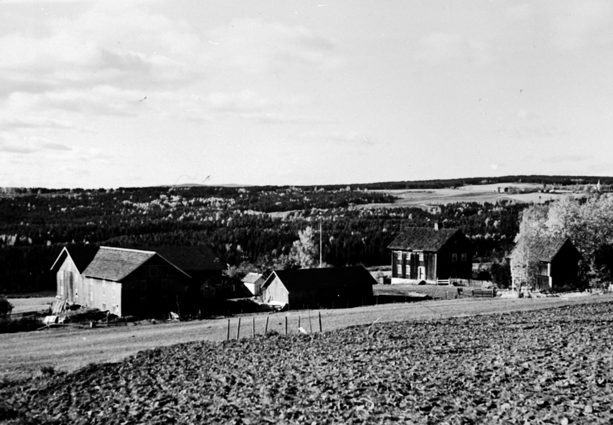 Anno Domkirkeodden, Mælum gård, Veldre, Ringsaker.