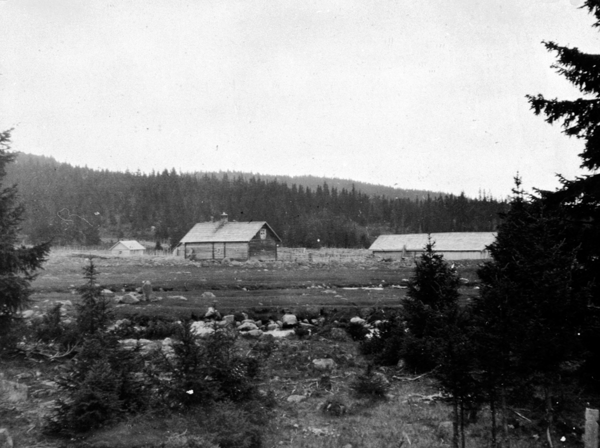Anno Domkirkeodden, Bogstisetra på Gammelskolla, Ringsaker Almenning.