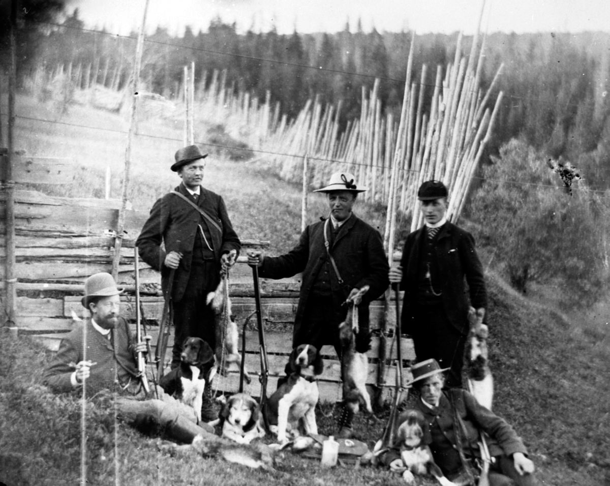 Anno Domkirkeodden, Jaktlag på harejakt, med hunder og gevær. Fra venstre er ukjent, Johan Aarskog, Gustav Narud, Johannes Narud, Lars Opsal fra Kås, Veldre, Ringsaker.