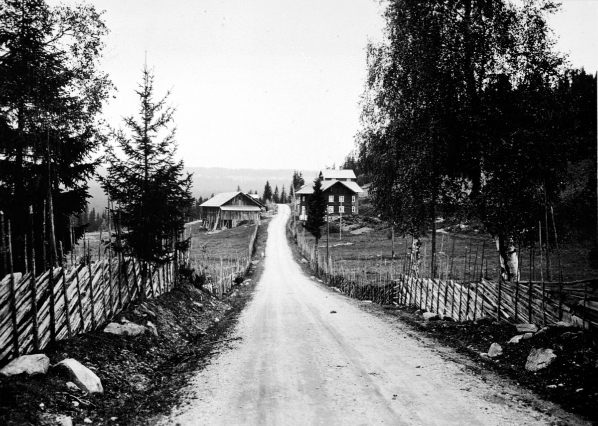 Anno Domkirkeodden, Haukåssvea, gamlevegen mellom Åsmarka og Bergundhaugen, Ringsaker.