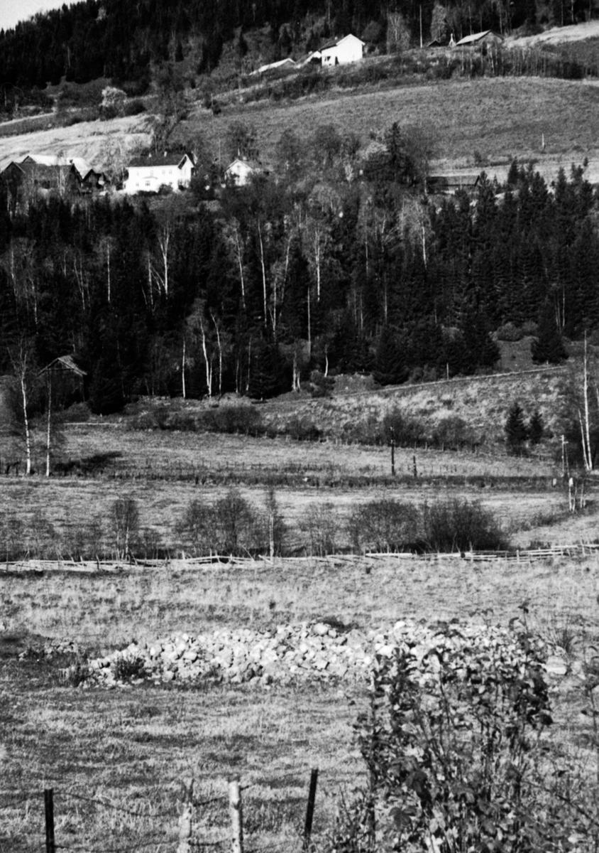 Anno Domkirkeodden, Utsikt fra Prøysenstua, steinrøysa neri bakken, Fuglseng, Skyberg øvre, Rudshøgda, Ringsaker.