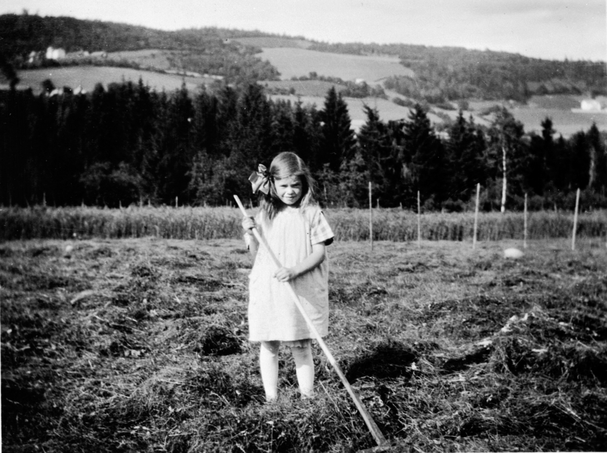 Anno Domkirkeodden, Olaug Strandli raker høy med rive, Prøysenstua, Rudshøgda, Ringsaker.