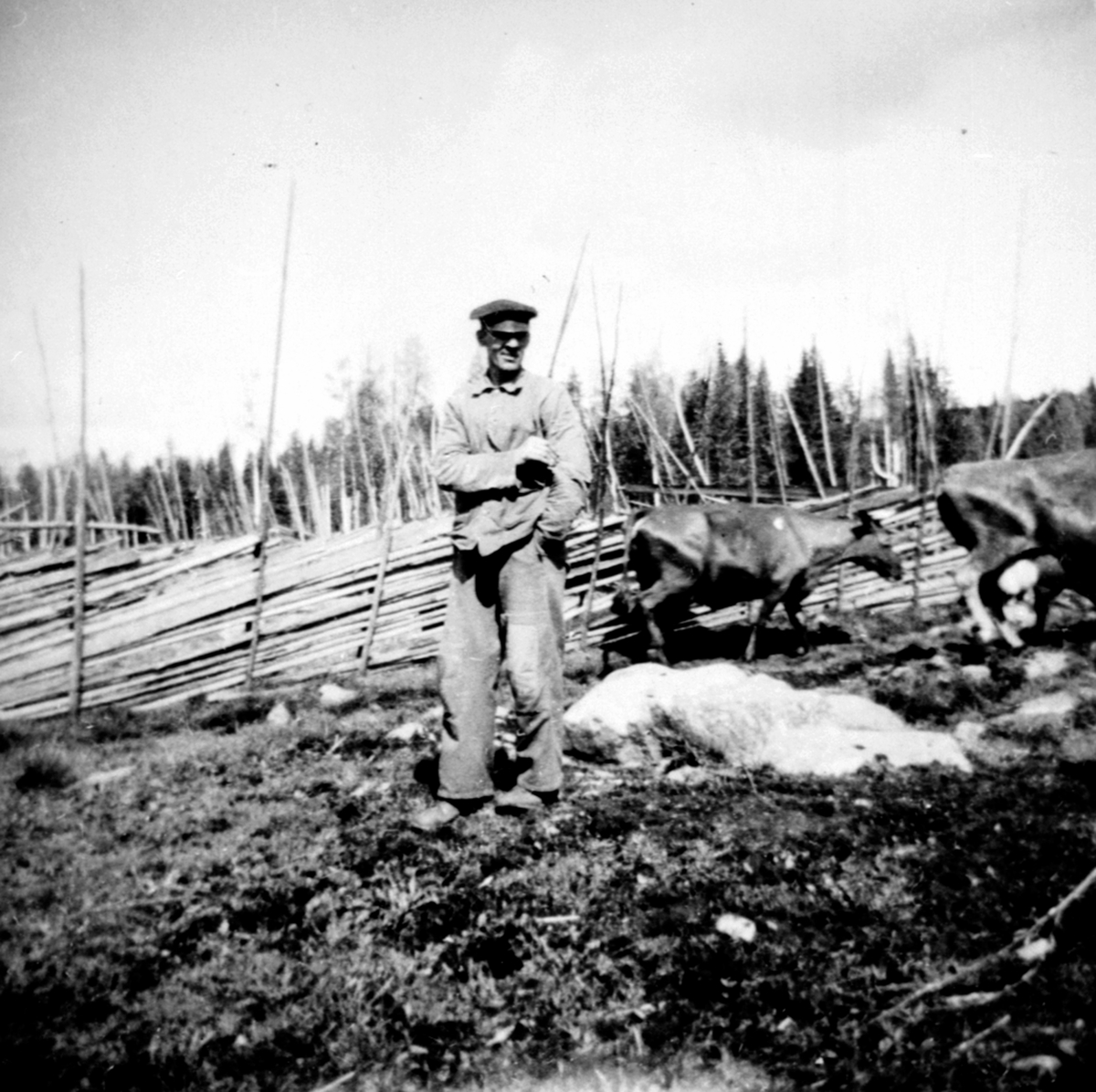Anno Domkirkeodden, Kuslepp på Brenna norde og lille i Åsmarka, Ringsaker. Syver Åsbrein.