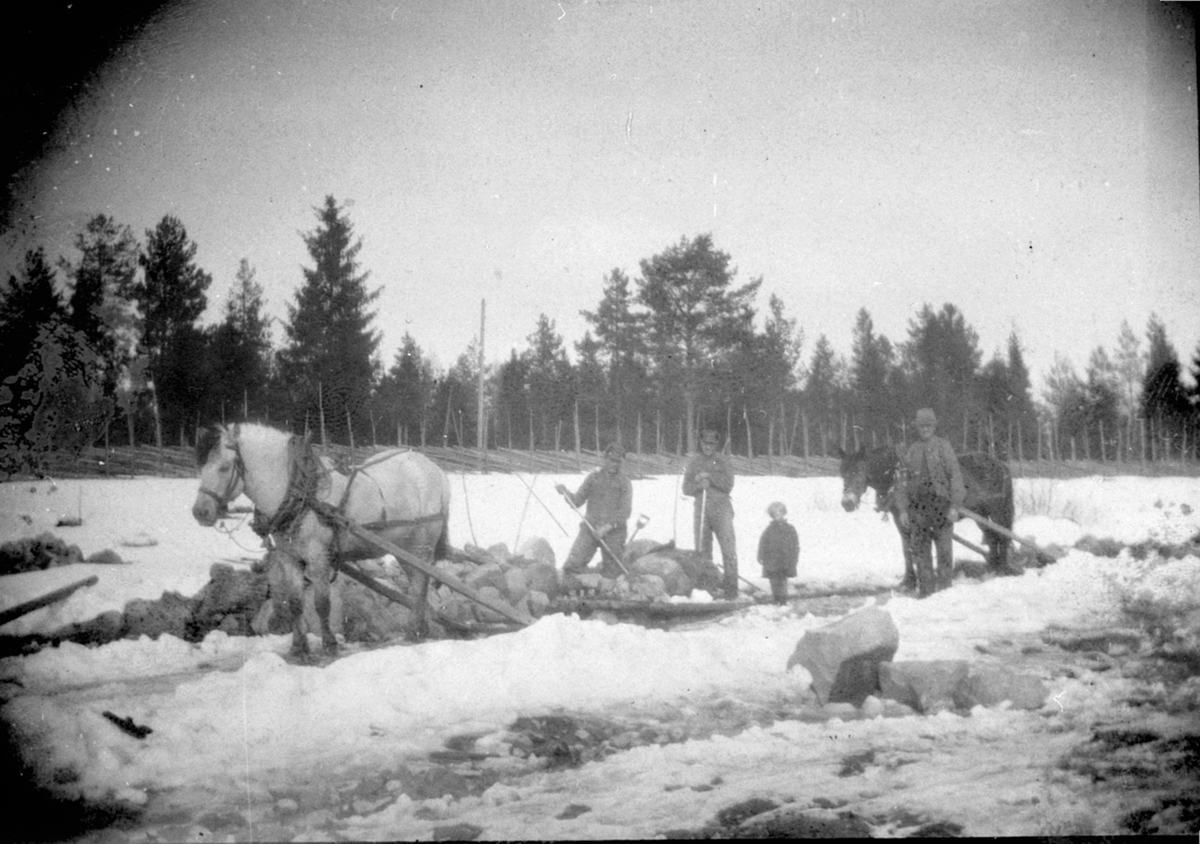 Anno Domkirkeodden, Nydyrking. Steinkjøring med hest og stenslede i Åsbrein, Brenna nordre, Åsmarka, Ringsaker.