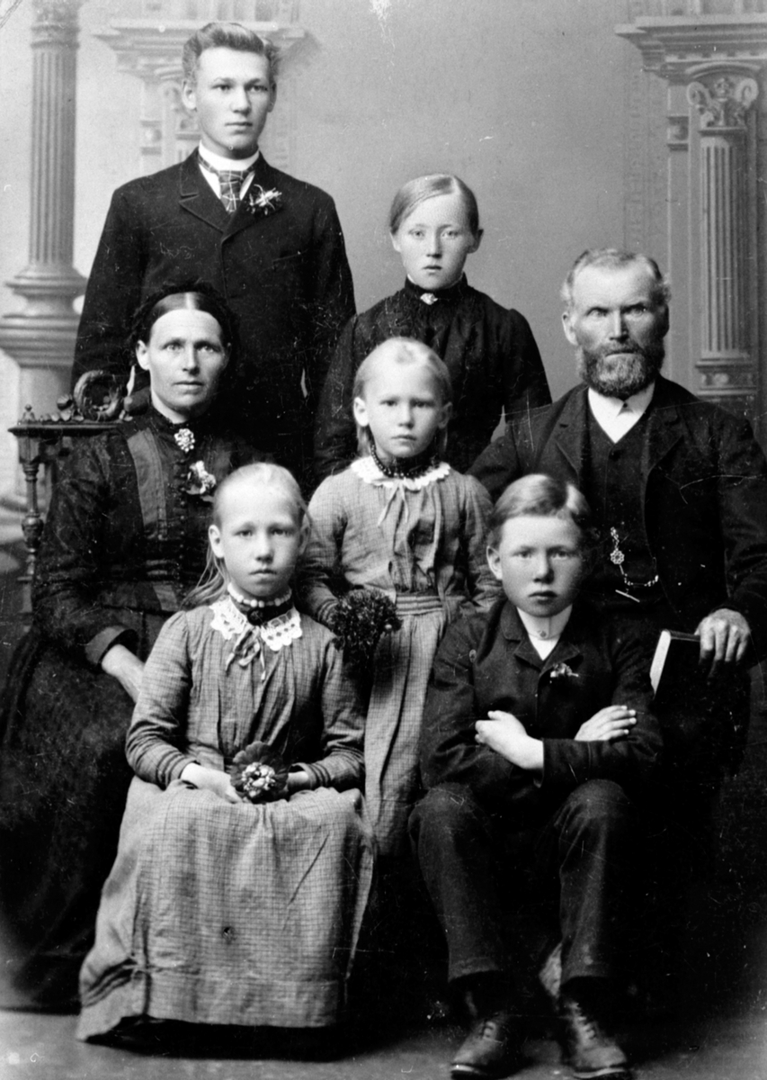 Anno Domkirkeodden, Familien Nystuen, Skjønsberg. Foran fra venstre er Lovise Skjønsberg (gift Sagen), Peder August Skjønsberg (til USA). I midten Oline Pedersdatter Nystuen, Olave Skjønsberg (gift Sørum), lærer Petter Nystuen Larsen. Bak er Bernt Skjønsberg (til USA i 1892). Oline Skjønsberg ( til USA). Tidligere omg…