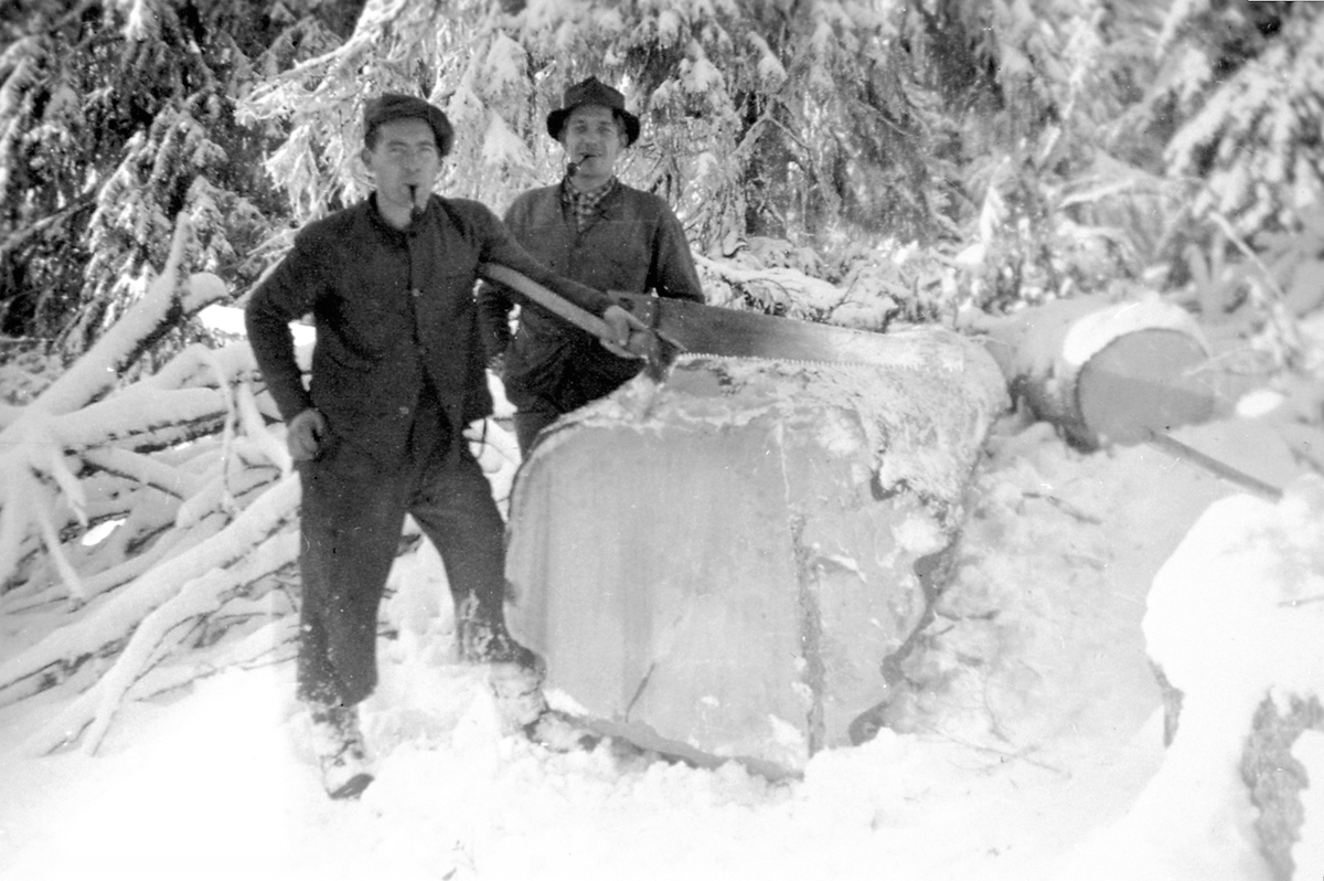 Anno Domkirkeodden, Storagrana felt i Ringsaker Almenning, tømmerhuggere er Konrad Hagen og Asmund Enger.