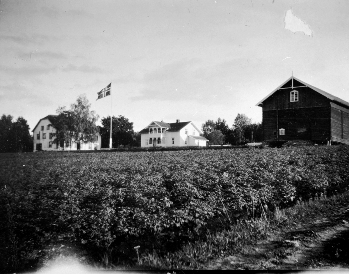 Anno Domkirkeodden, Den gamle og nye hovedbygningen på Eskerud, Helgøya. Låven i forgrunn brant ned i 1949. Den gamle hovedbygningen til venstre ble revet ca. 1938.