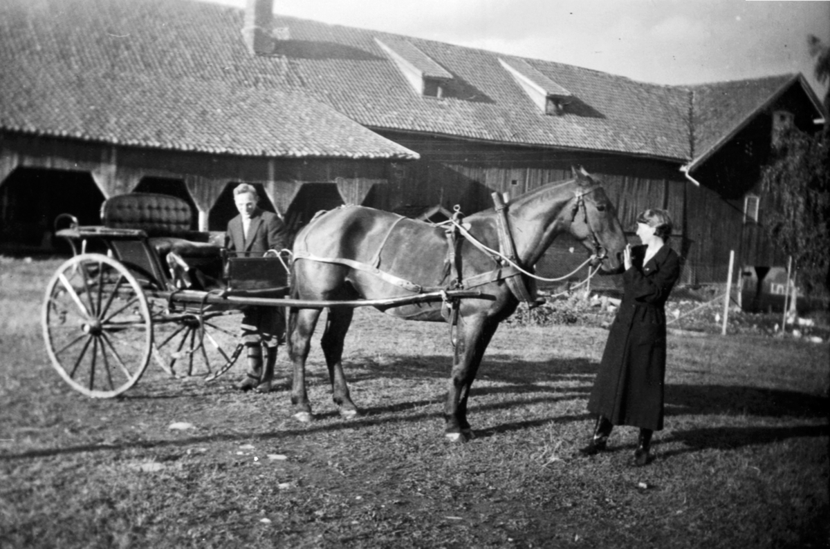 Anno Domkirkeodden, Mattis Dobloug skal hente gjester med hest og gigg. Randi Dobloug holder hesten. Gamle låven i bakgrunn. Lodviken, Helgøya.