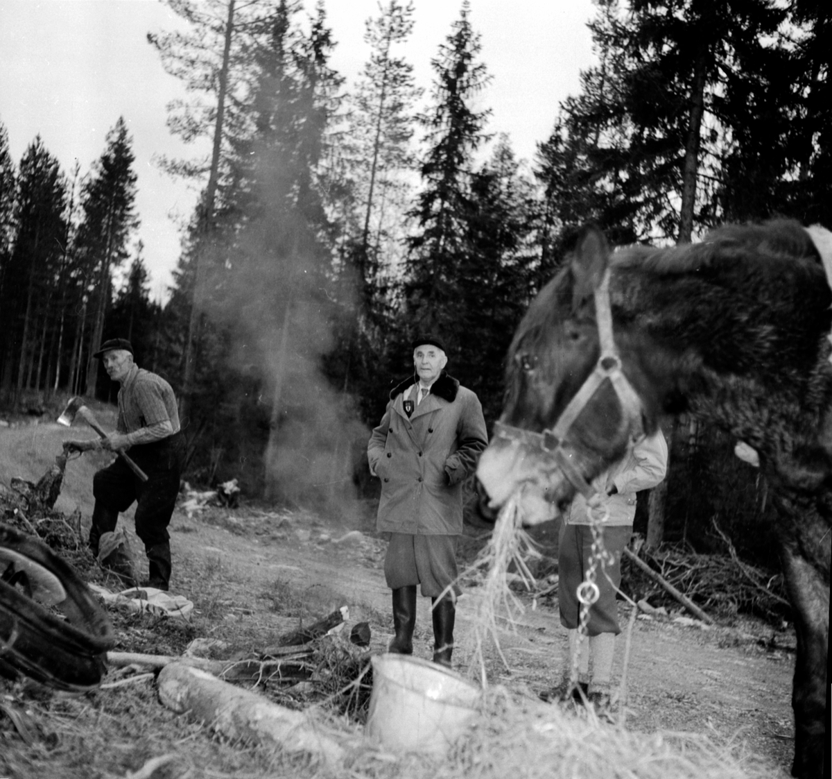 Anno Domkirkeodden, Skogbruksarbeider, tømmerhuggere. Hest som fores. Tre menn. Berger Langmoen A/S.