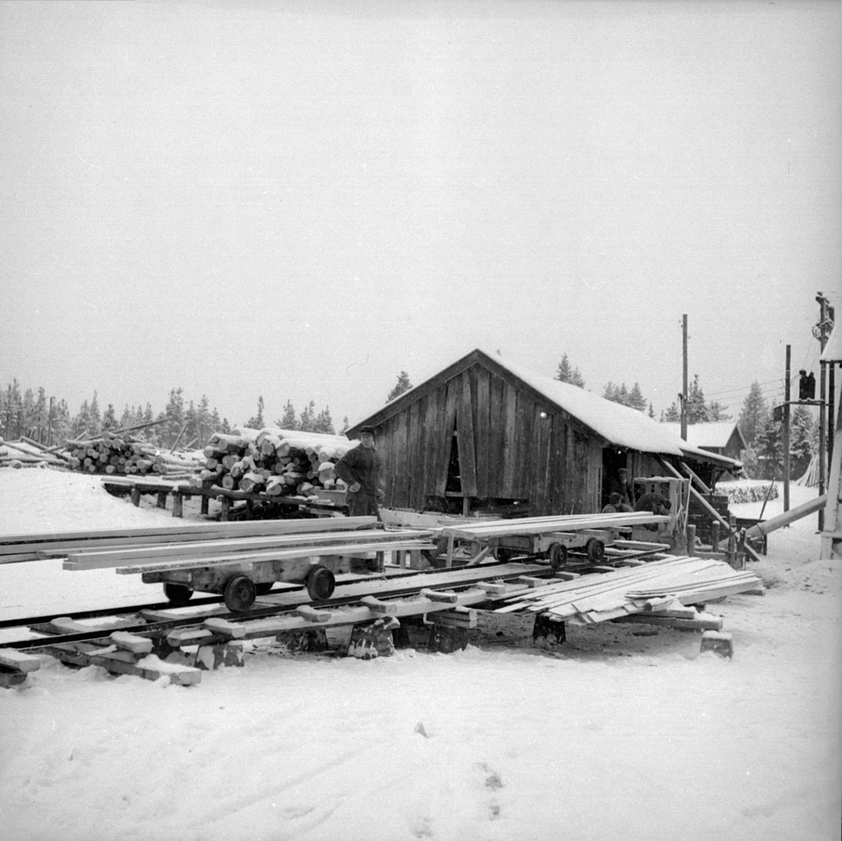 Anno Domkirkeodden, Sagbruk, transport av plank på skinner, tømmer, Berger Langmoen A/S, Brumunddal.
