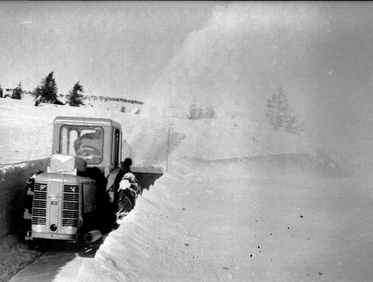Anno Domkirkeodden, Snøfreser ved Lauvlia, Nes Almenning, Ringsaker.