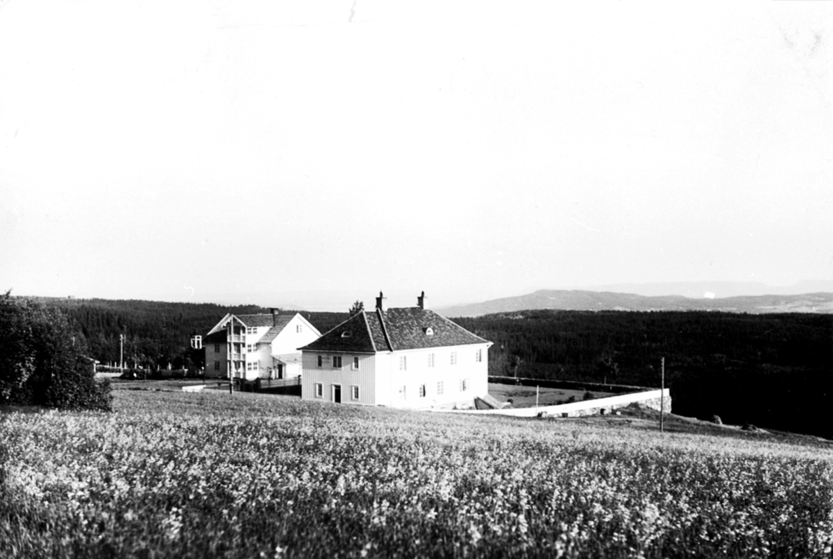Anno Domkirkeodden, Eksteriør, Solveen pensjonat, Næroset, Ringsaker.