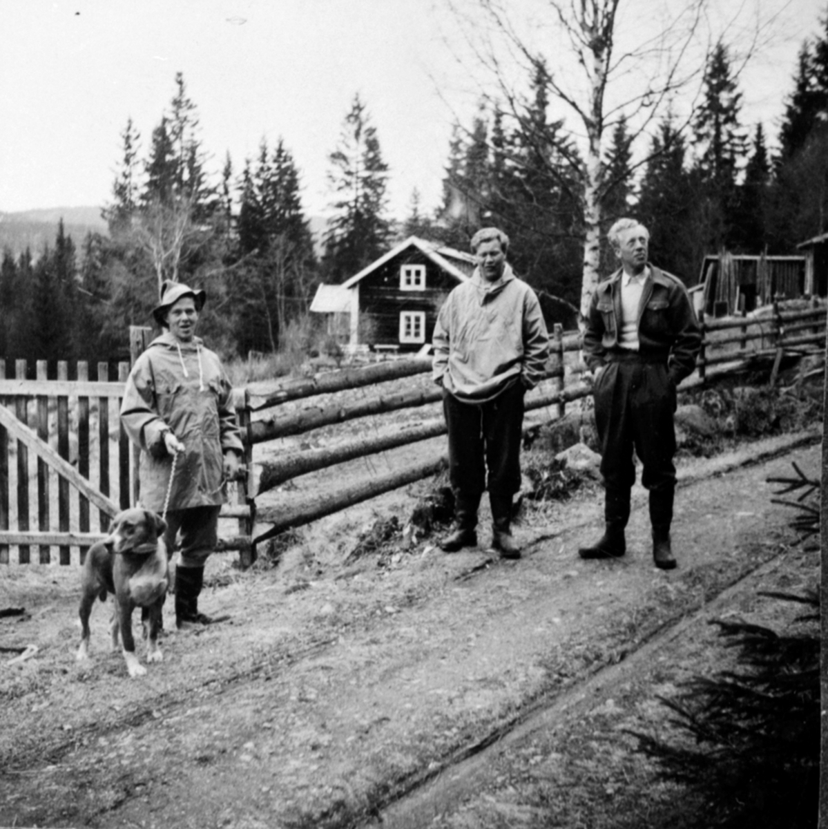 Anno Domkirkeodden, Rolf Ulven med hund, Sverre og Kasper Ulven, Lundstein, Ringsaker.