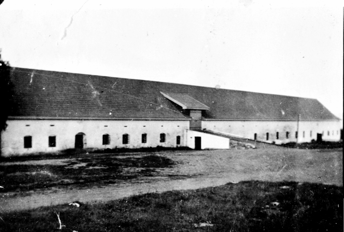 Anno Domkirkeodden, Fjøset og stallen på Hovinsholm, Helgøya mot gårdsplassen.
