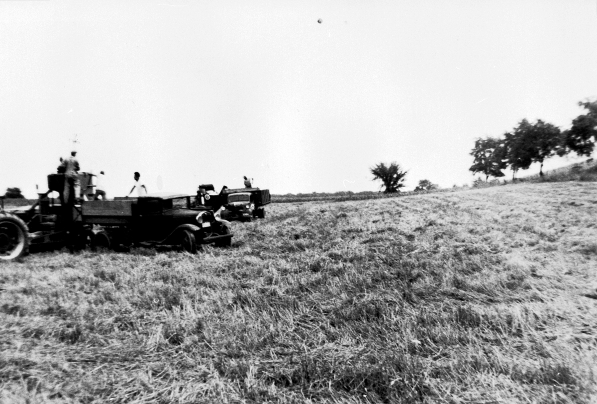 Anno Domkirkeodden, Ottar Viens farm i Amerika. Tømmer korn fra skurtresker til lastebil. Født 1883 på Vien, Helgøya.