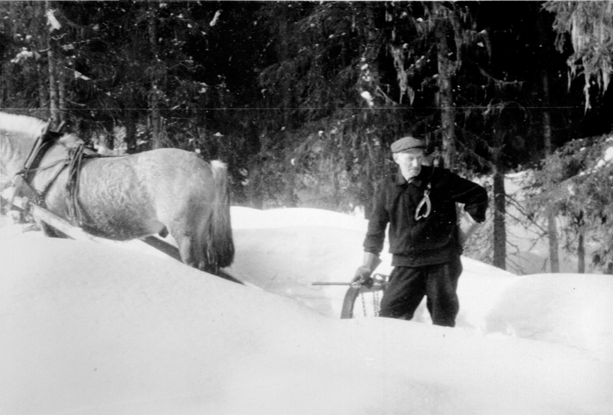 Anno Domkirkeodden, Tømmerkjøring med hest, en fjording. Moelven lunnedrag med bøyle. Ole Seistigen med tømmersaks. Mye snø i Ringsaker Almenning.