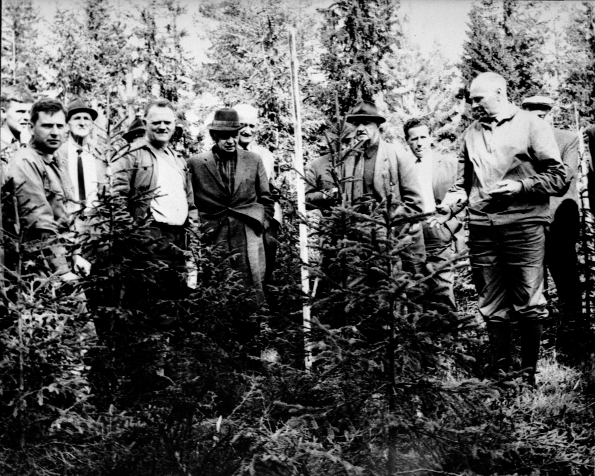 Anno Domkirkeodden, Bruksrettbefaring i Ringsaker Almenning, gruppe menn.