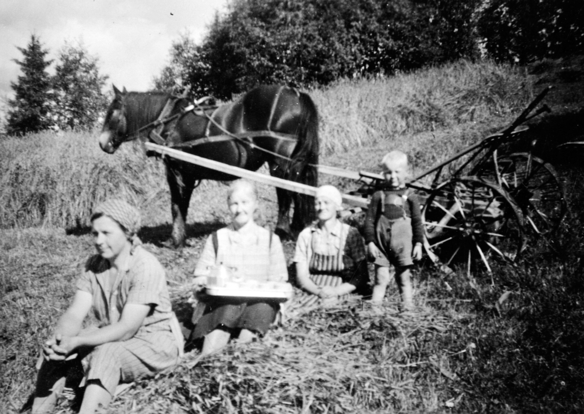 Anno Domkirkeodden, Skuronn på Haugstua, Veldre, Ringsaker. Hest med slåmaskin. Aslaug Faraasen, Marthe Faraasen, Magda Olsen, Svein Olsen.